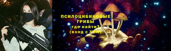 стаф Струнино