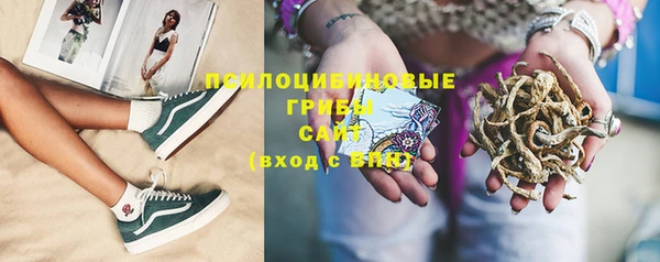 стаф Струнино