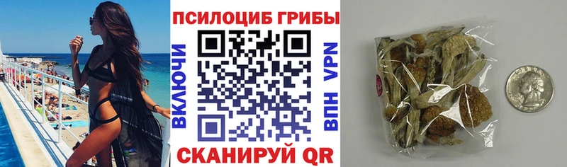 Псилоцибиновые грибы ЛСД  Удачный 
